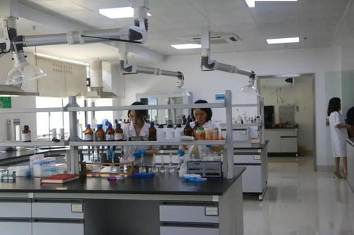 湖南科技宣傳周暨衡陽(yáng)食品藥品檢驗(yàn)檢測(cè)實(shí)驗(yàn)室公眾開放日 網(wǎng)絡(luò)技術(shù)服務(wù)助推市民科普體驗(yàn)