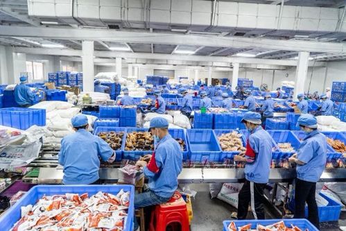 好家伙，年薪50萬聞廁所？網絡技術服務中的那些“奇奇怪怪”的職業